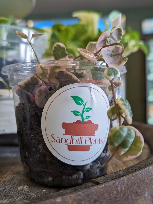 Six Sprouts Farm Market LLC Picture 4