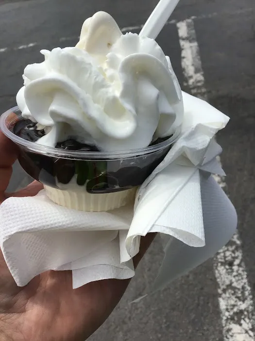 Tasty Treat of Lockport Picture 5
