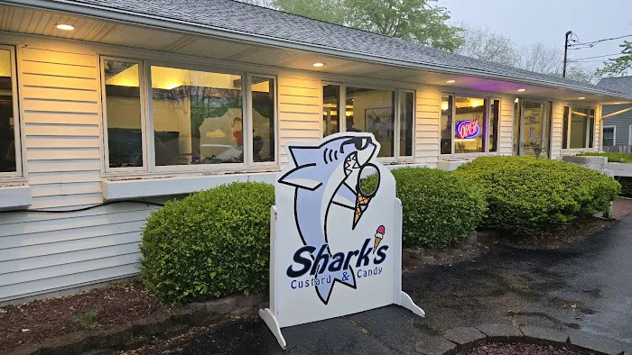 Shark's Ice Cream Picture 1
