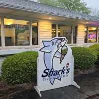Shark's Ice Cream ico