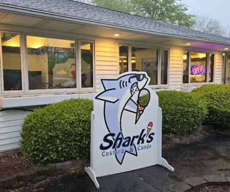 Shark's Ice Cream