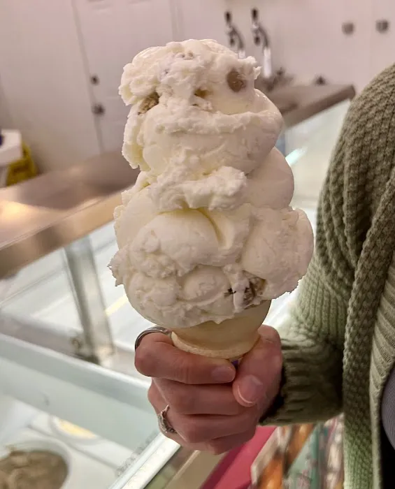 Shark's Ice Cream Picture 4
