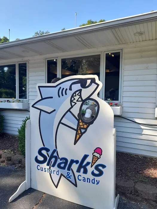 Shark's Ice Cream Picture 6