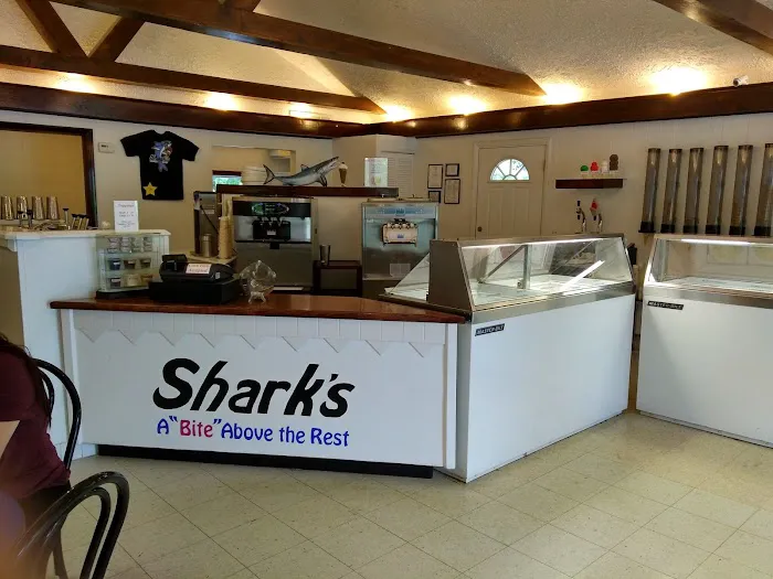 Shark's Ice Cream Picture 2