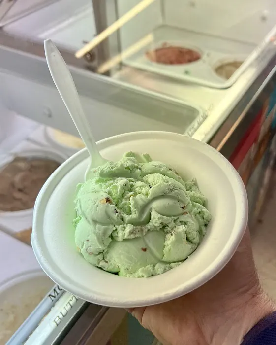 Shark's Ice Cream Picture 3