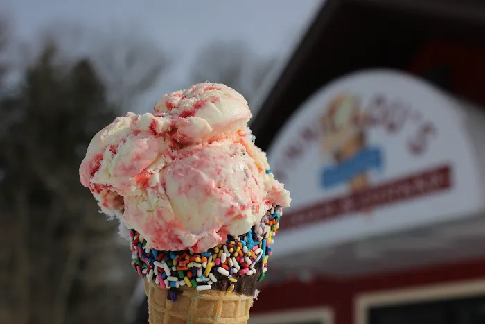 Lynnie Lou’s Premium Ice Cream and Custard Picture 4