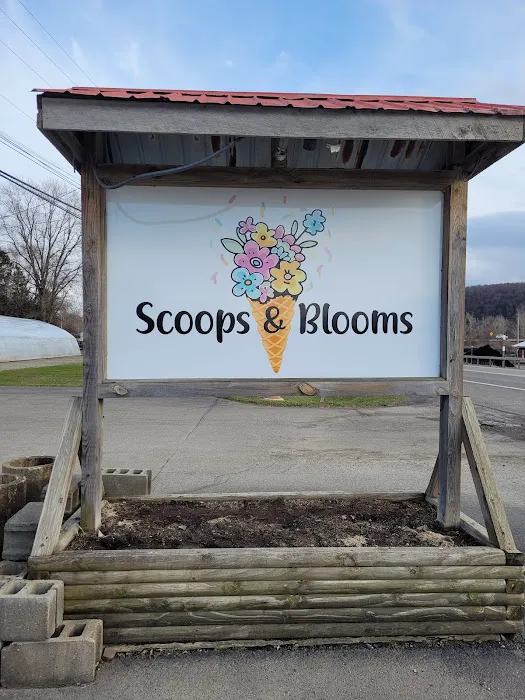 Scoops & Blooms Picture 9