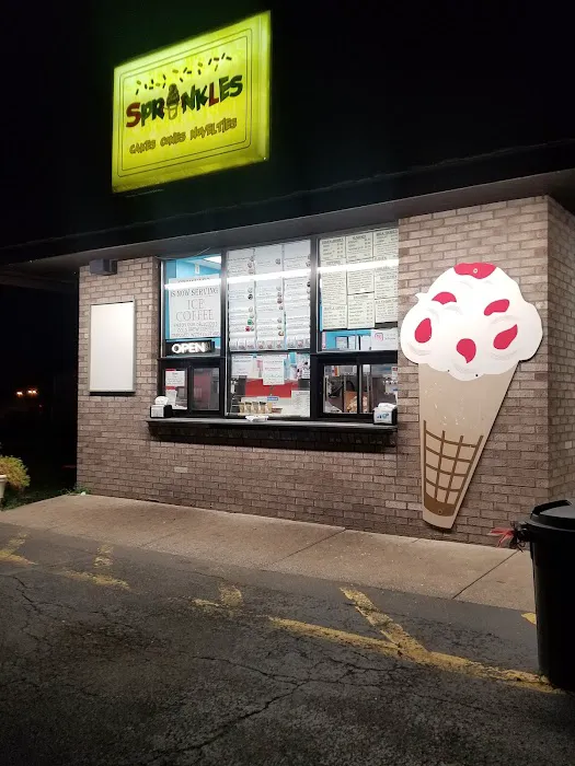 Sprinkles Ice Cream Picture 2