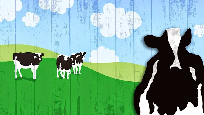 Ben & Jerry's Picture 10