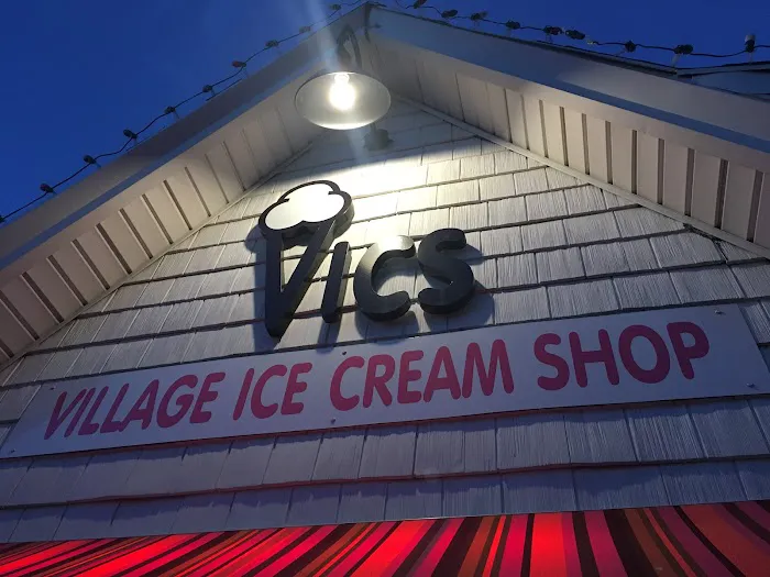 Village Ice Cream Shop Picture 5