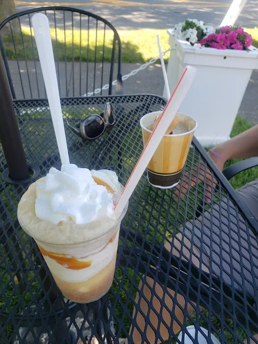 Village Ice Cream Shop Picture 10