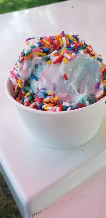 Village Ice Cream Shop Picture 9
