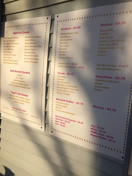 Village Ice Cream Shop Picture 6