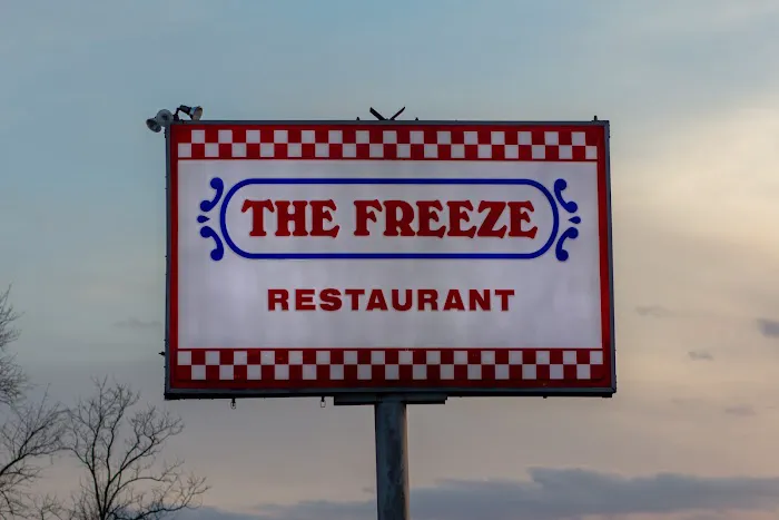 The Freeze Picture 5