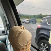 Squirrleys Ice Cream ico