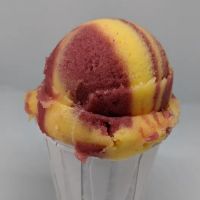 Scotty's Homemade Italian Ice, LLC ico