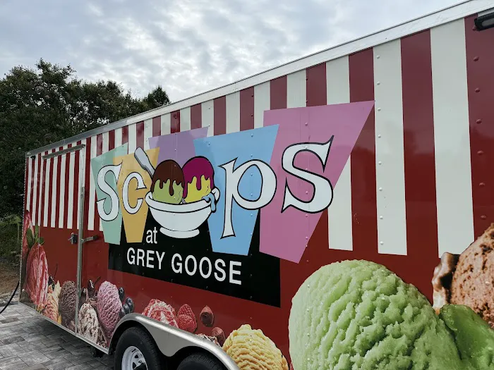 Scoops Picture 1