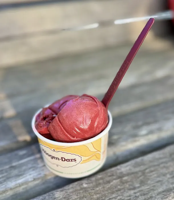 Häagen-Dazs Picture 7