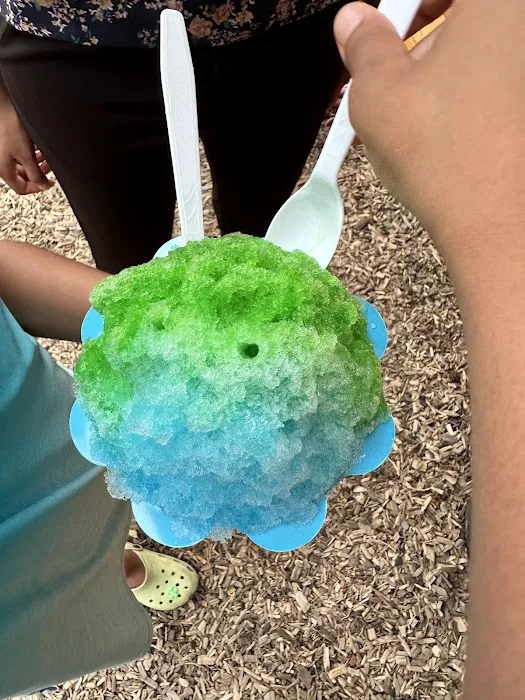 Bear's Shaved Ice Picture 9