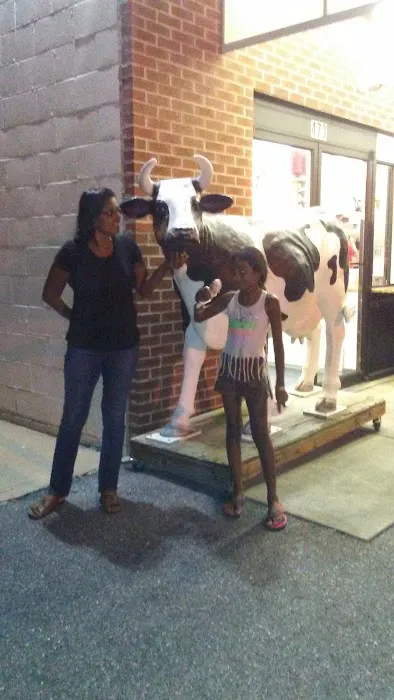 The Cow Picture 9