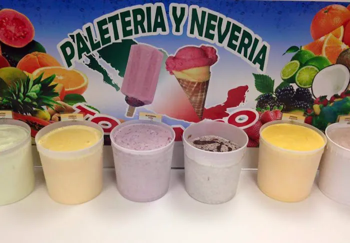 Paleteria Y Neveria Tocumbo Picture 4