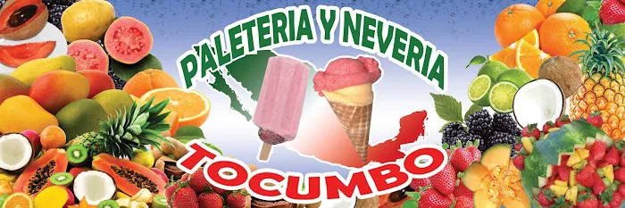 Paleteria Y Neveria Tocumbo Picture 7