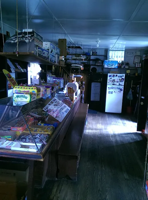 Simmons Homemade Ice Cream Store Picture 10