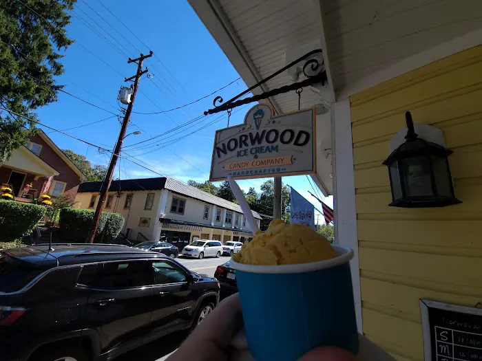 Norwood Ice Cream & Candy Company Picture 3