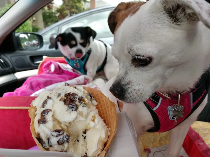 Great Falls Creamery Picture 10