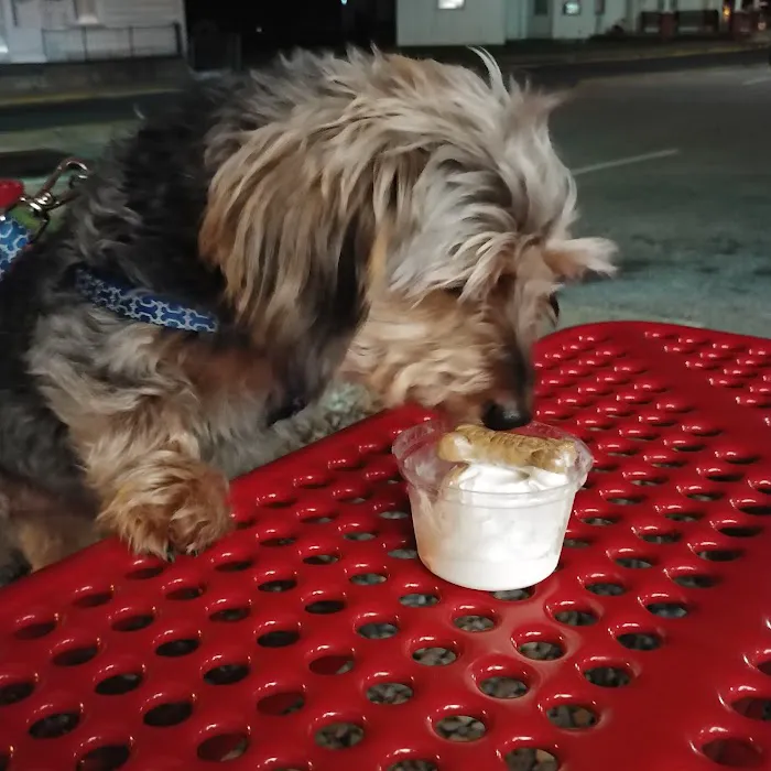Rita's Italian Ice & Frozen Custard Picture 8