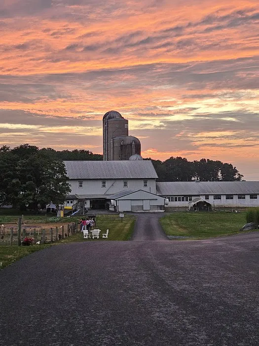 Patches Family Creamery Picture 6