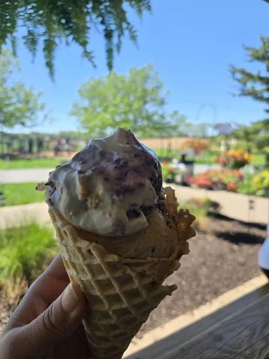 Patches Family Creamery Picture 7