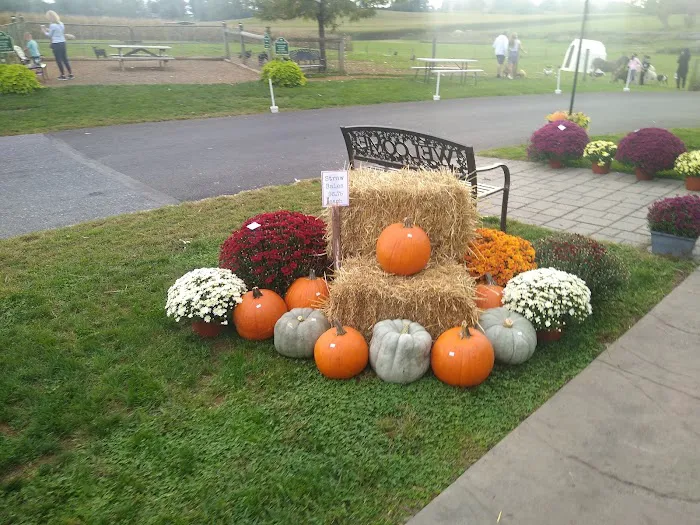 Patches Family Creamery Picture 8