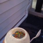 The Little Dipper