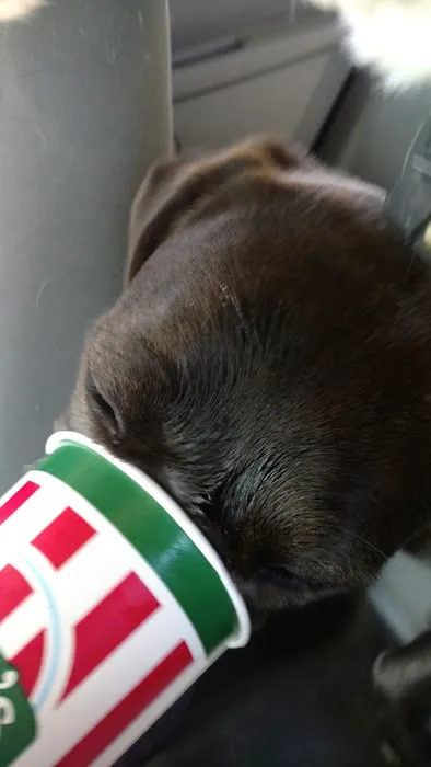 Rita's Italian Ice & Frozen Custard Picture 9
