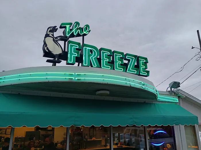 The Freeze Picture 7