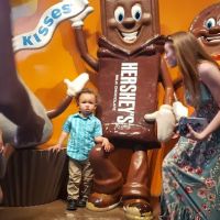 Simply Chocolate ico