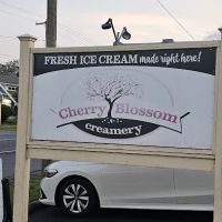 Cherry Blossom Creamery ico