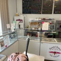 Twisted Sisters Ice Cream and Handmade Chocolates Orwigsburg ico