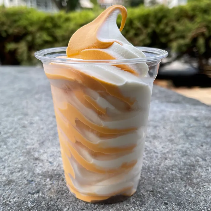 Sleepy Hollow Ice Cream Picture 9