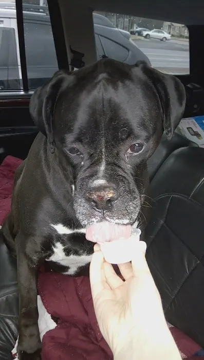 Rita's Italian Ice & Frozen Custard Picture 9