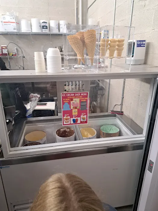 Ice Cream Shop Picture 2