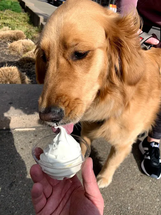 Bryce's Ice Cream Picture 3