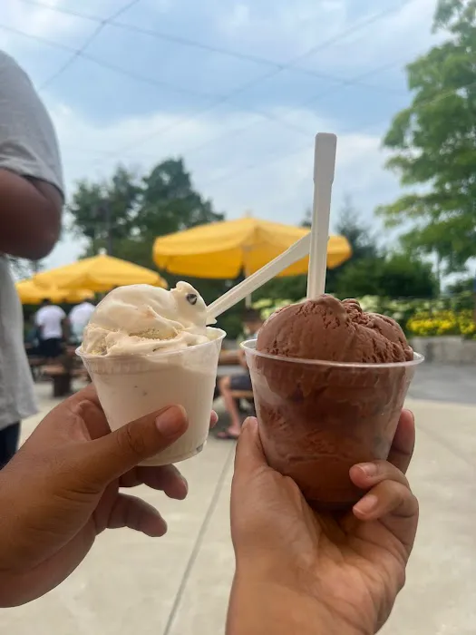 The Scoopery Ice Cream Picture 6