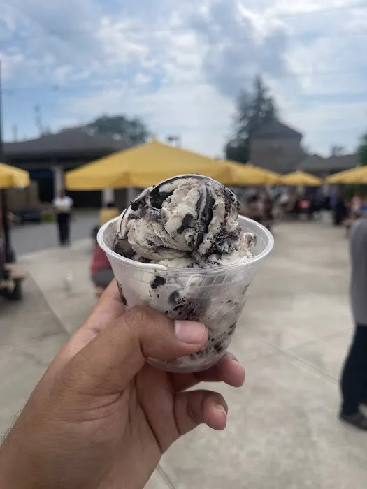 The Scoopery Ice Cream Picture 1