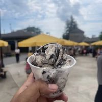 The Scoopery Ice Cream ico