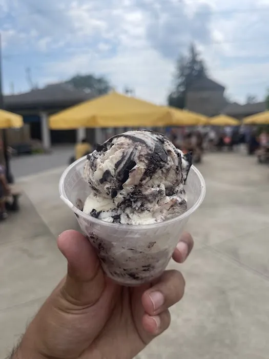 The Scoopery Ice Cream Picture 10