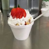 What's Your Scoop? ico