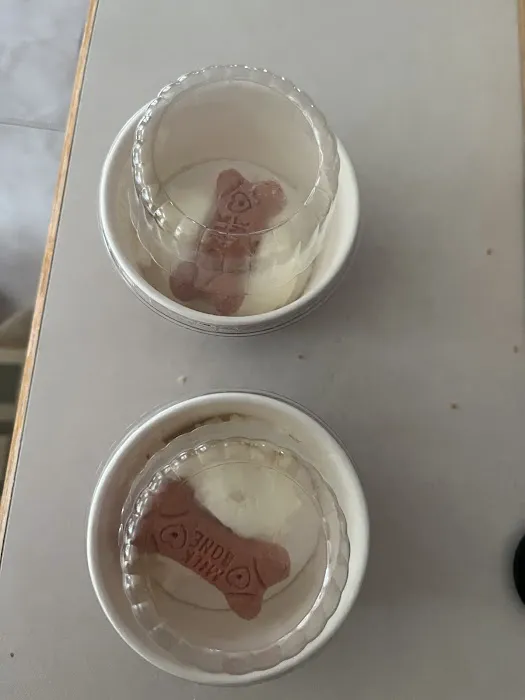 Bruster's Real Ice Cream Picture 5
