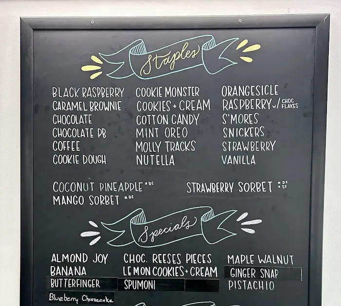 Molly V’s Homemade Ice Cream Picture 2
